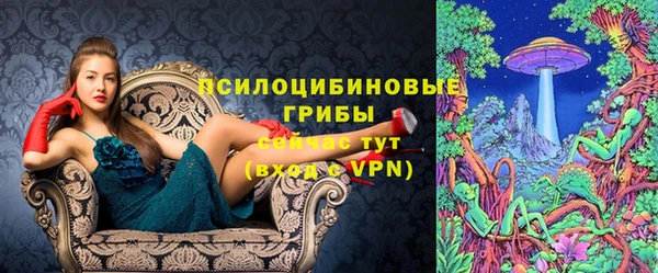 Альфа ПВП Володарск