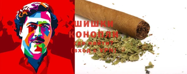 Альфа ПВП Володарск