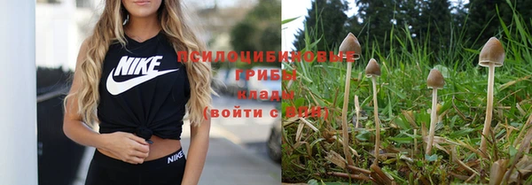 Альфа ПВП Володарск