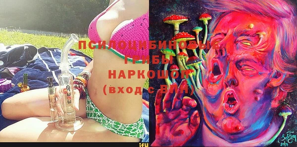 Альфа ПВП Володарск