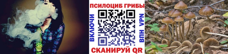Псилоцибиновые грибы Magic Shrooms  Купить закладки  Новосиль 